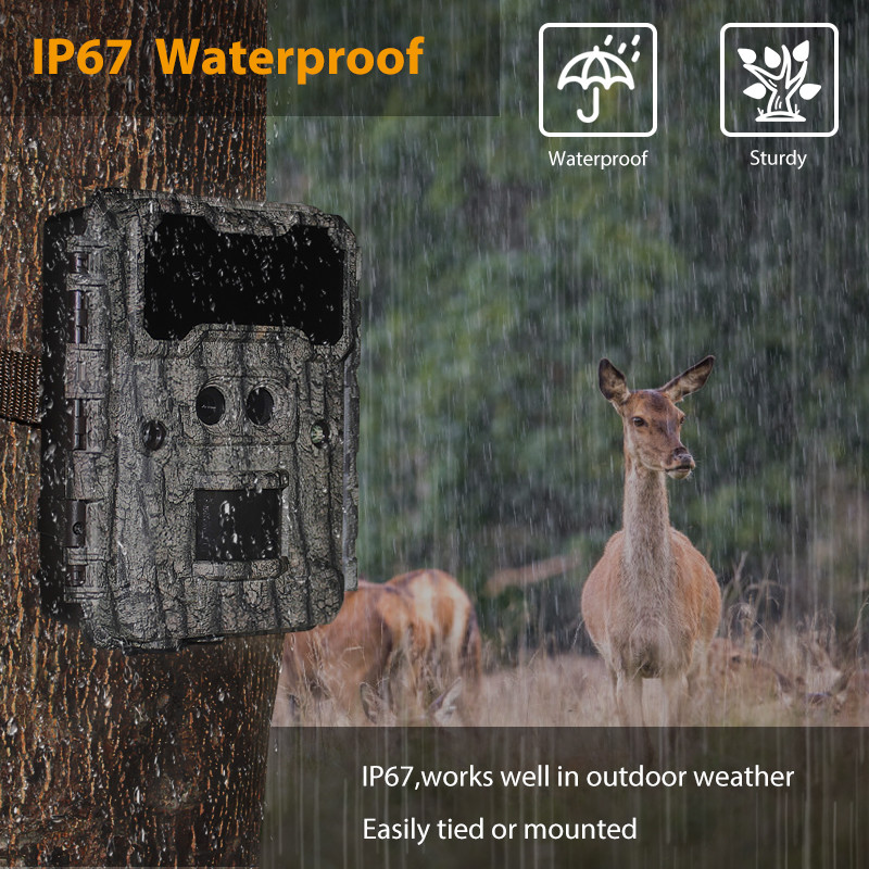 Hot sale Dual lens Nigh version trail camera 30MP, 1080P High resolution 940nm No glow Waterproof IP65