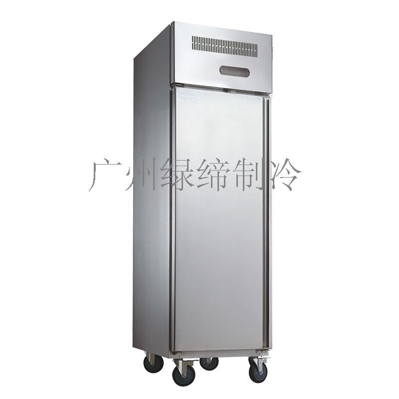 Low-energy Upright Stainless Steel Kitchen Commercial Upright Freezer CE CB ROHS
