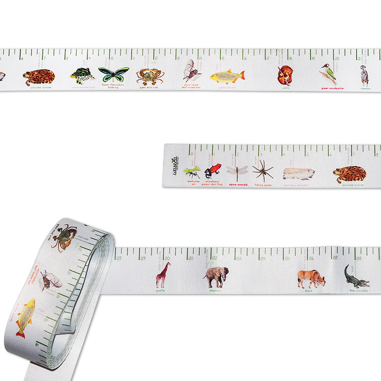Wintape Extra Long Colorful Image Printing Surface Fabric Texture Nylon Fabric Measuring Tape Band