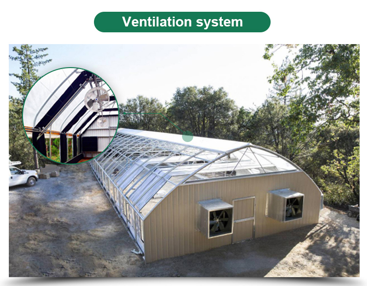 Greenhouse Grow Tent for Single-Span Agricultural Greenhouses and Indoor Growing