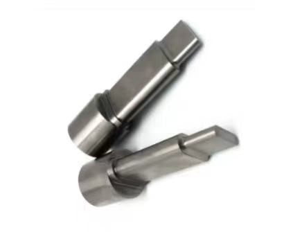 HSS Ra0.02 Custom Metal Stamping Dies Punches PVD Plating
