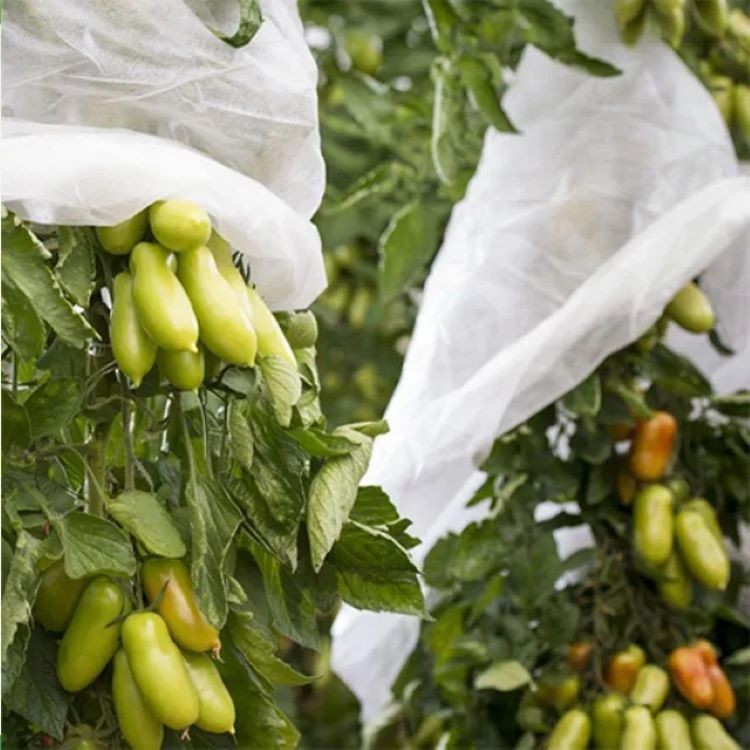 Anti Pull Plant Protection Covers Waterproof , Multipurpose Plant Fleece Bags