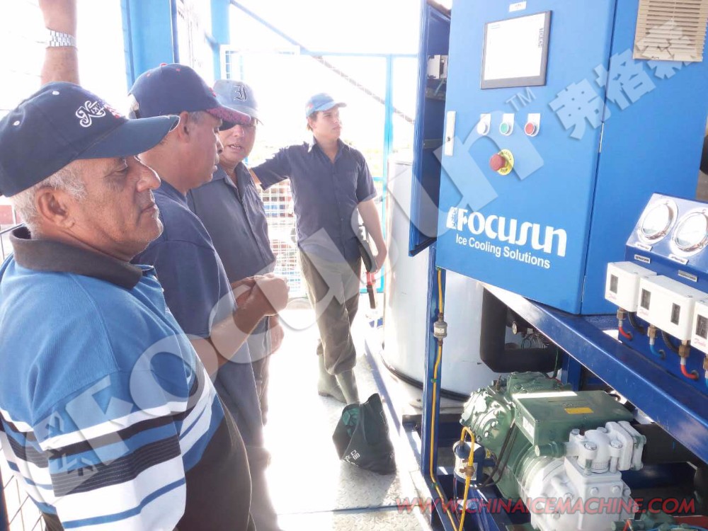 10 Ton Flake Ice Machine for Direct Slicing and Combining Refrigerated Materials