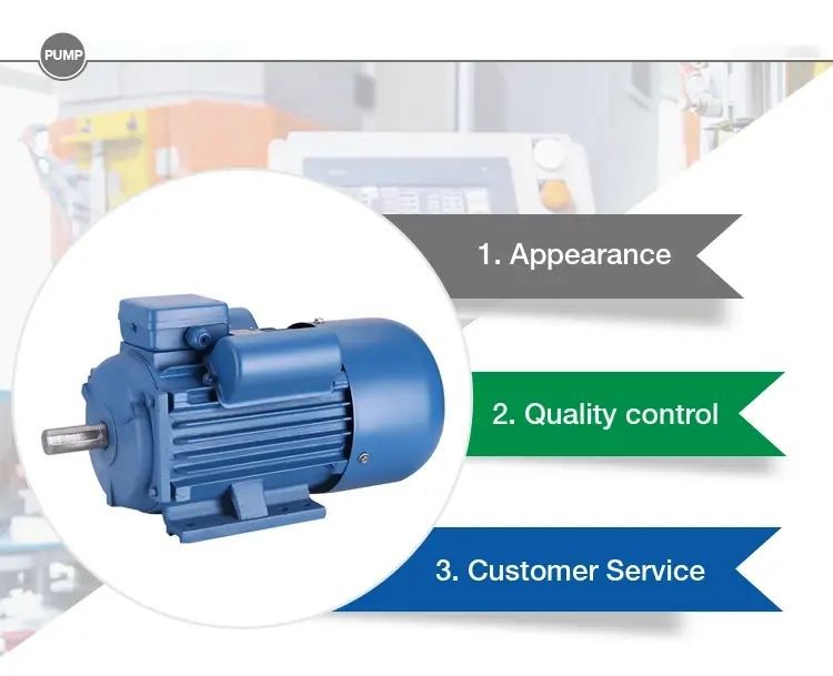Single Phase AC Induction Motor