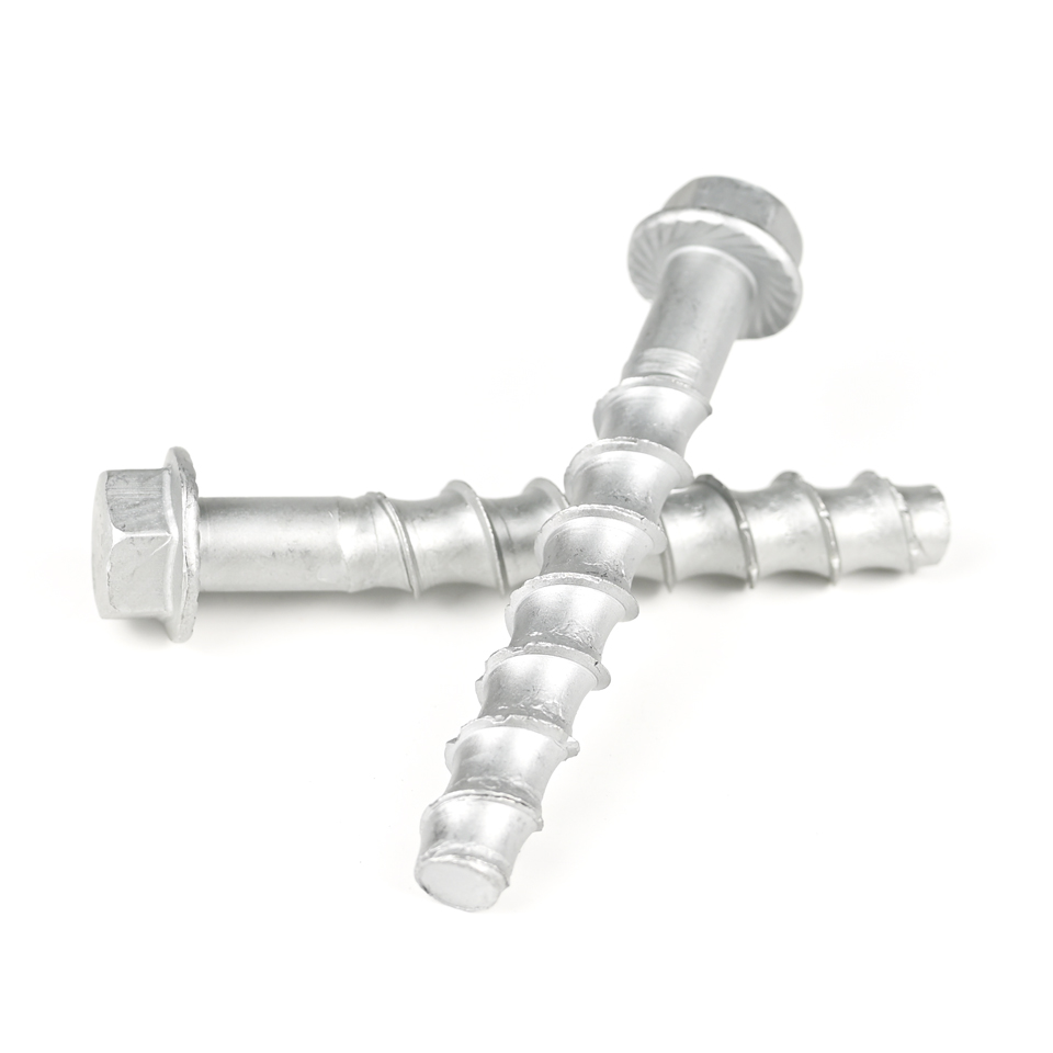 Rail Traffic Flange Hexagonal Stainless Steel Heavy Duty Concrete Screw Anchors M12 100mm