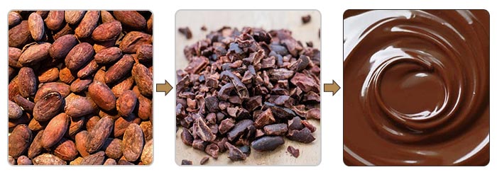 Cocoa Bean Processing Equipment Price