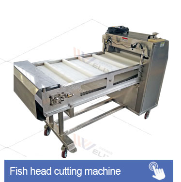Small Scale Automatic Live Red Shrimp Fish Aquaculture Tilapia Fry Grading Sorting Machine Fish and Shrimp Sorting Machine