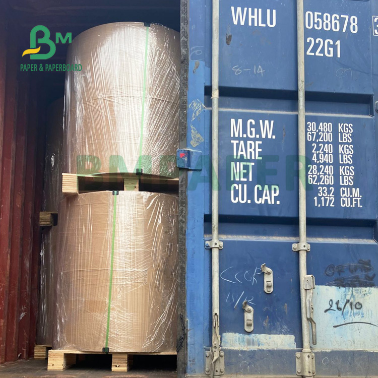 100% Wood Pulp 210g + 15g PE Coated Paper For Drinking Cups 720mm 880mm