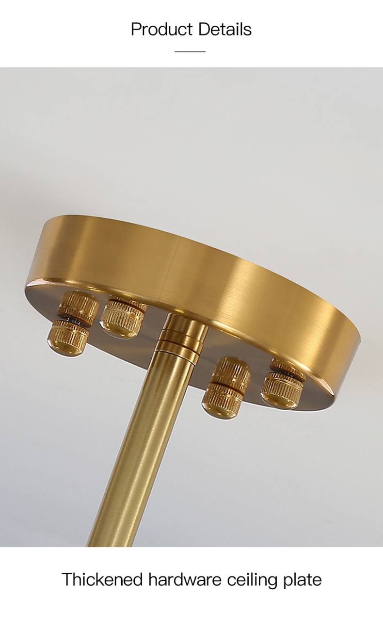 Modern Ceiling Light For Foyer Living Room Decor Children's Bedroom Kitchen Apartment flower Chandelier lamp(WH-CY-249)