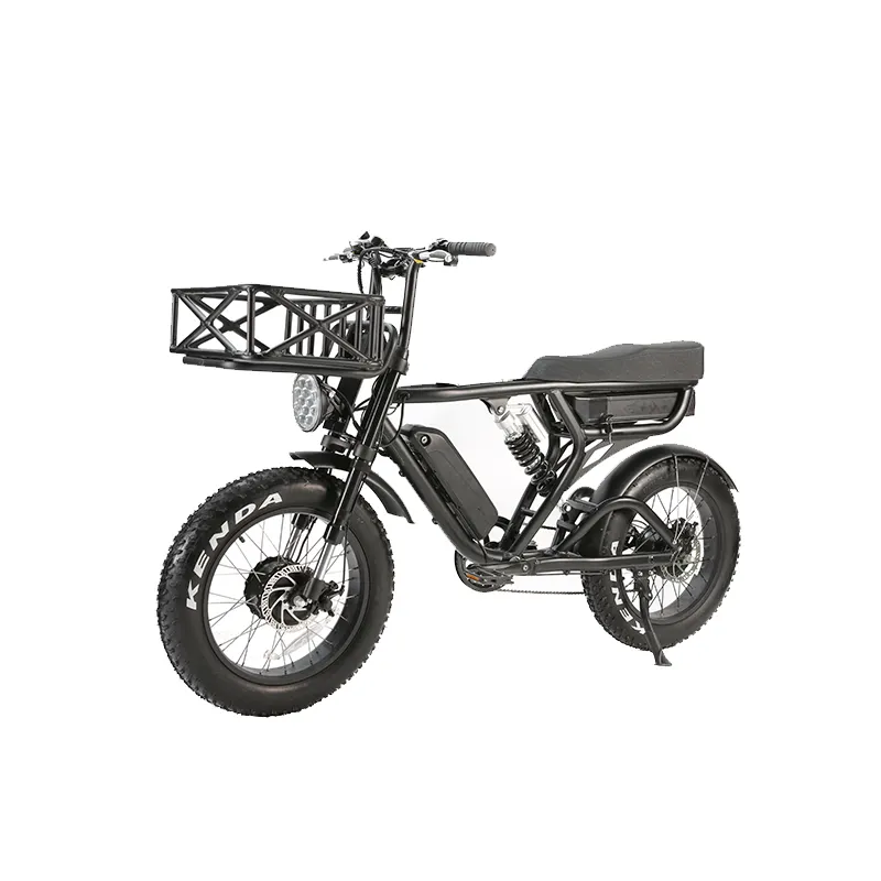 48v 500W 1000W 1500W 2000W Electric Bike Motor for Men High Power CE FCC Rohs Certified