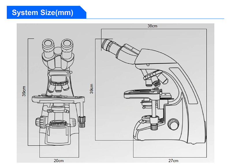 infinity Plan Achromatice Compound Optical Microscope 3W LED A12.1502 Backward Quadruple Nosepiece