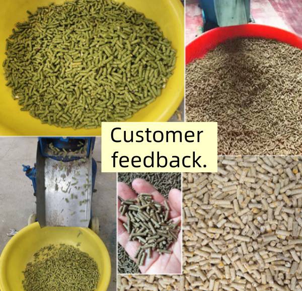 Professional Pellet Mill Machine for Large-scale Biomass Fuel Production Feed Pellet Machine