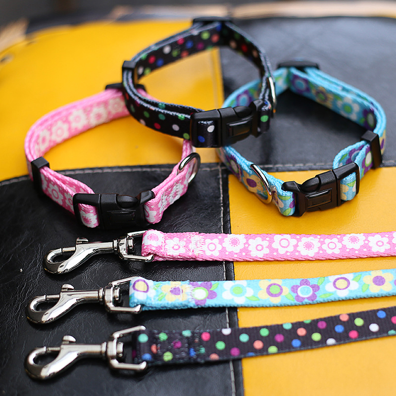 Eco Friendly Polyester Dog Leash Collar Set Sublimation Harness Collar And Lead Set