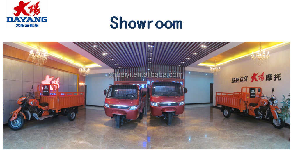 Dayang Gasoline Van Tricycle with 10-20L Fuel Tank Capacity and High Grade Ability ≥25°