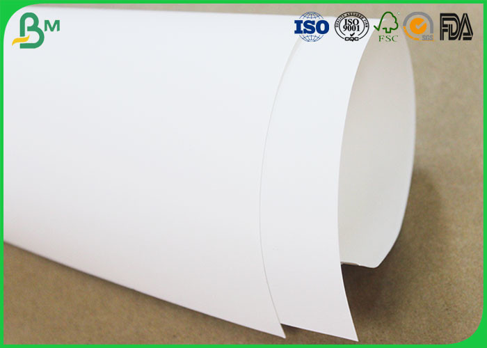 Food Grade White Kraft Liner Paper , Uncoated Jumbo Paper Roll For Pizza Box