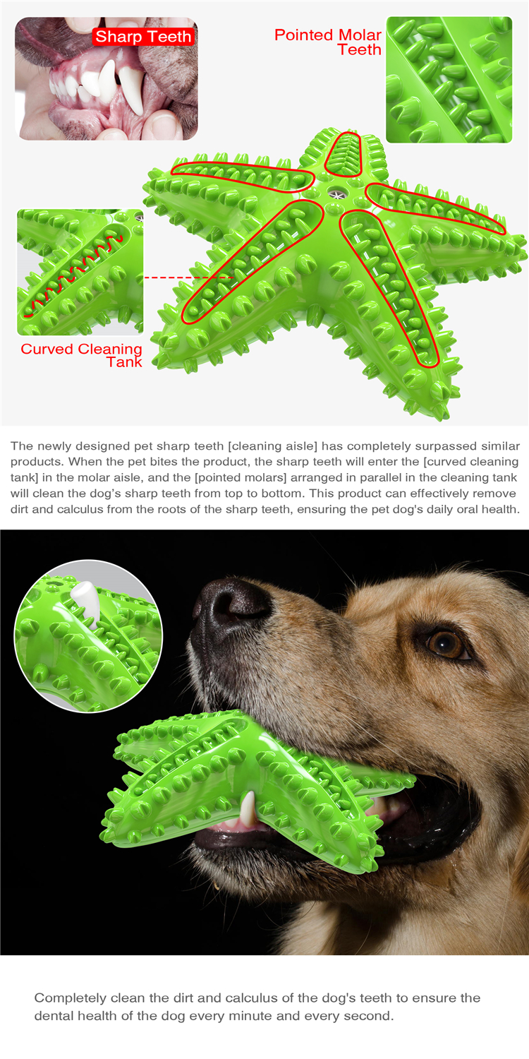 Natural Rubber New Design Starfish Shape Dog Chew Toy Dental Cleaning Toothbrush Squeaky Toy Yellow Green Blue