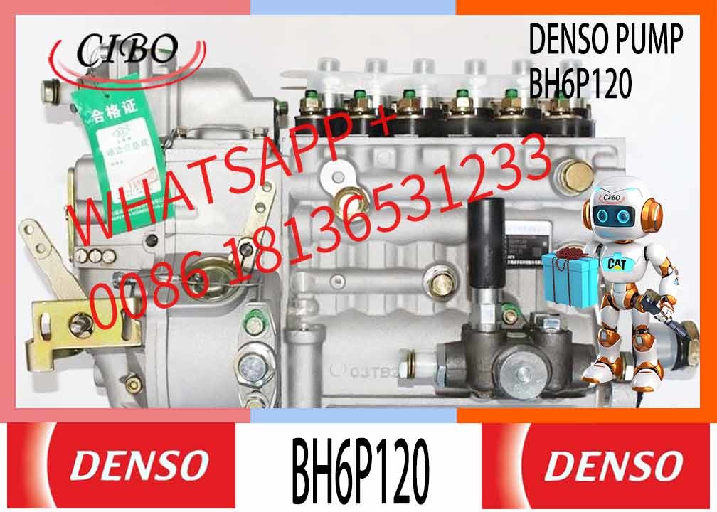 Engine Parts Shanghai C6121 3306 Diesel Engine Longbeng Fuel Injection Pump BH6PA110 BH6P110 BH6P120