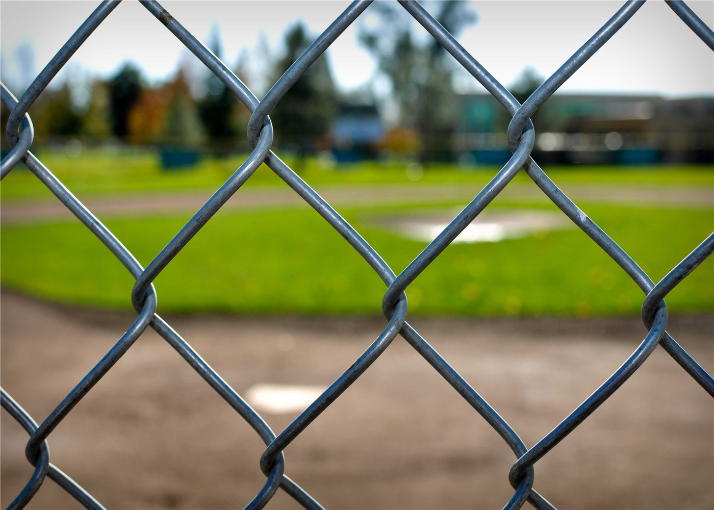 PVC Coated Chain Link Fence manufacture supply/Decorative chain Link Wire Fence