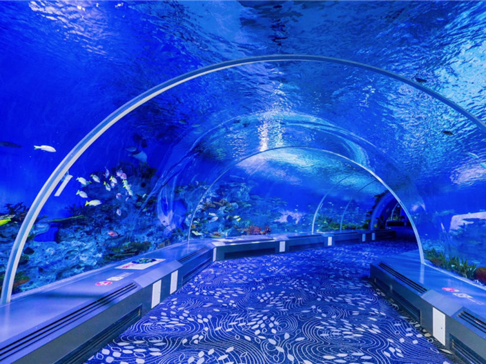 Various Shapes Fiberglass Above Ground Acrylic Swimming Pool with Moulding Processing