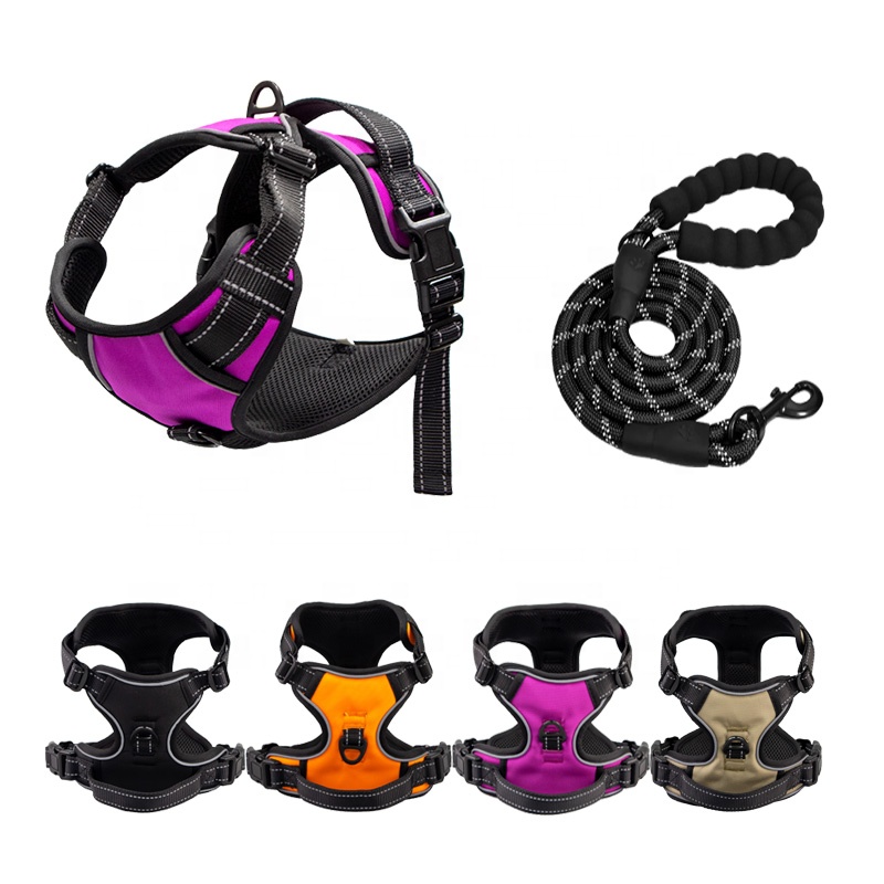 Custom Luxury Logo Dog Harness Lead Set Green Retractable Dog Leash