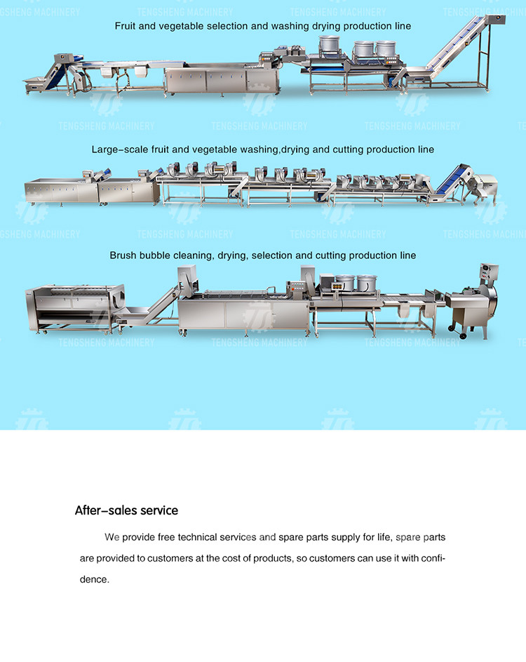 3KW 50HZ Fruit And Vegetable Processing Line Washing Sorting Machine