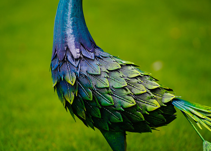 Colorful Animal Peacock Metal Garden Ornament Artistic Weatherproof