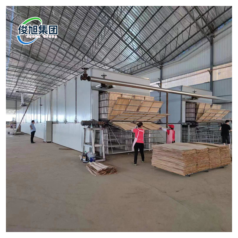 Professional Solution Wood Veneer Drying Machine For Manufacturing Process