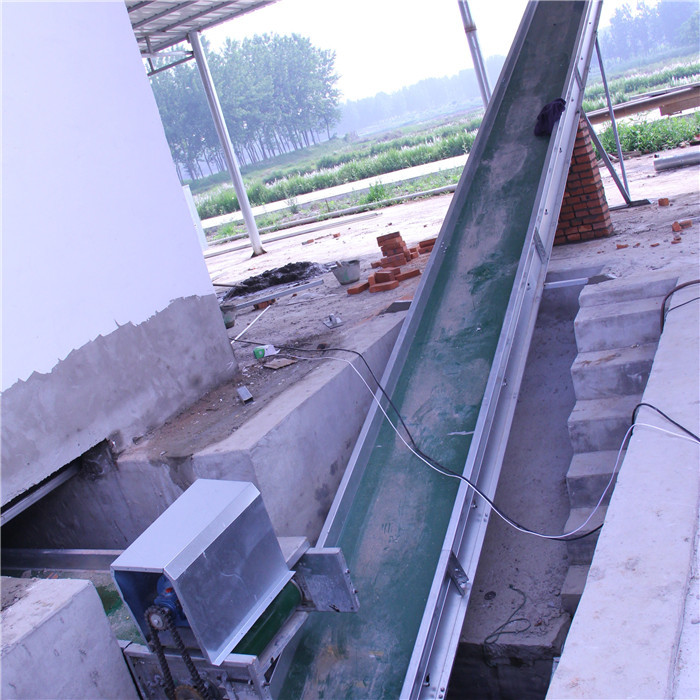 H Type Automatic Manure Removal System High Performance For Chicken Farm