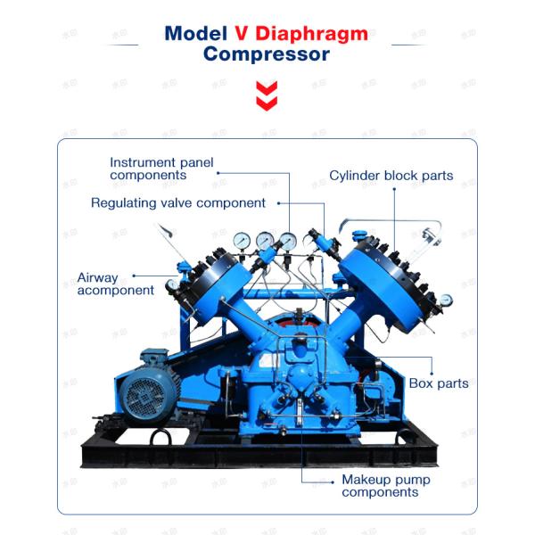 Oil Free Argon Gas Diaphragm Compressor Gas Air Hydrogen Diaphragm Compressor