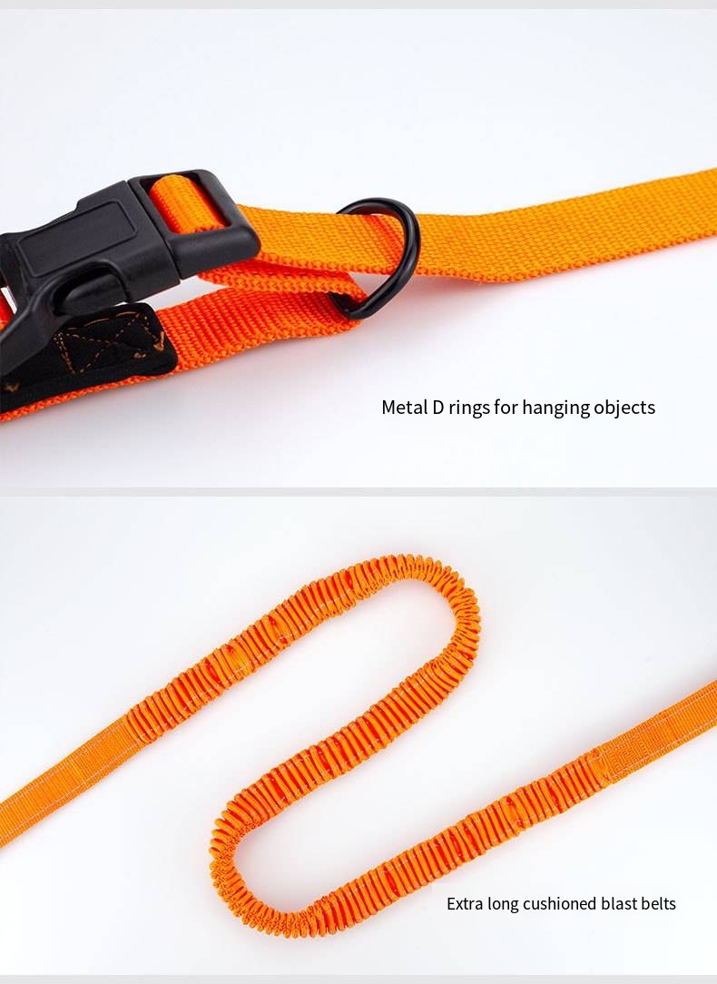 Custom Multi Functional Pet Leash Hands Free Dog Leash And Collars Set