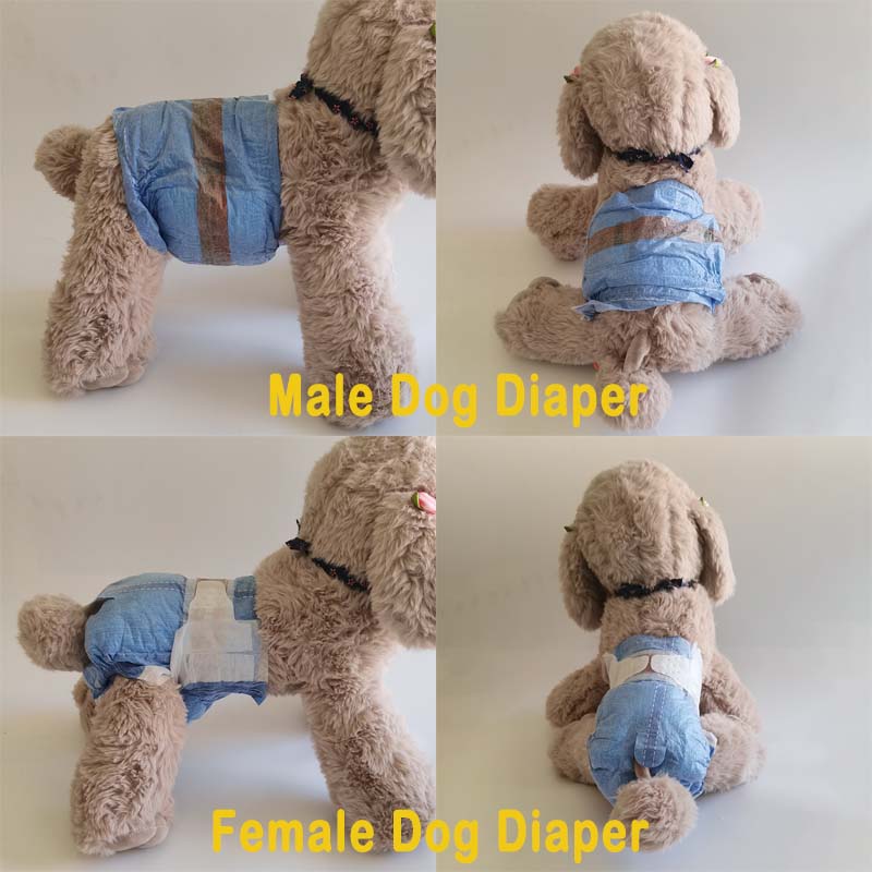 disposable Dog Training Pet Dog Diapers With PE / Clothlike Backfilm