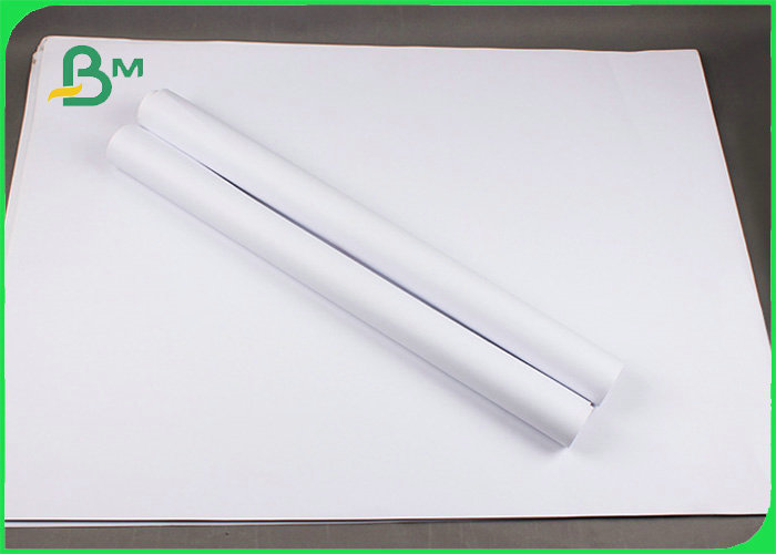 UWF Uncoated Woodfree Paper In Reels OBA Free 80gsm 100gsm 120gsm FSC Certified