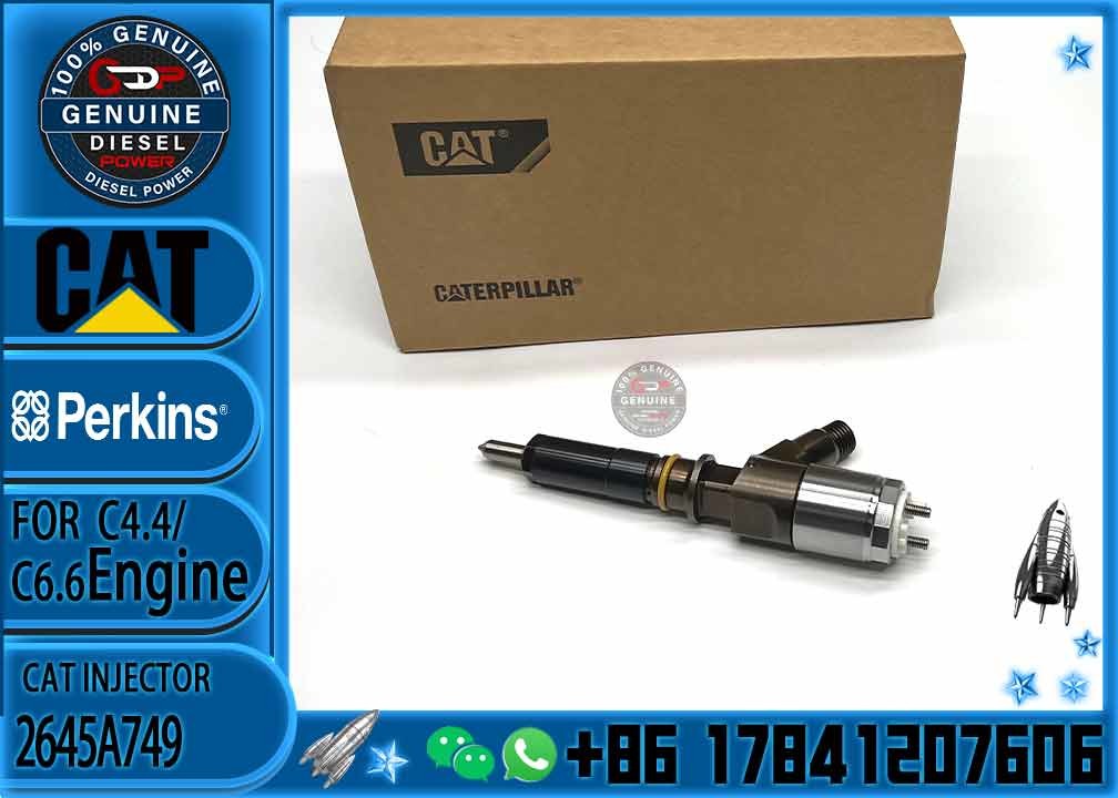 diesel engine parts Common rail injector 2645A749 10R-7672 2645A718 10R-7673 10R-7676 2645A734 10R-7674 10R-7668