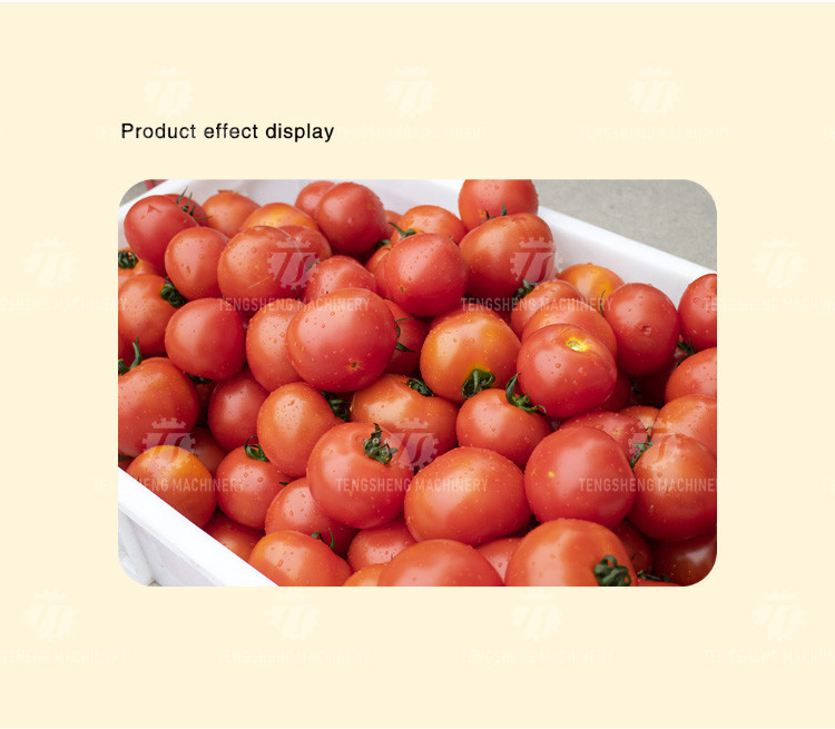 240KG Multifunctional commercial sterilizing and washing machine factory direct fruit and vegetable bubble cleaning