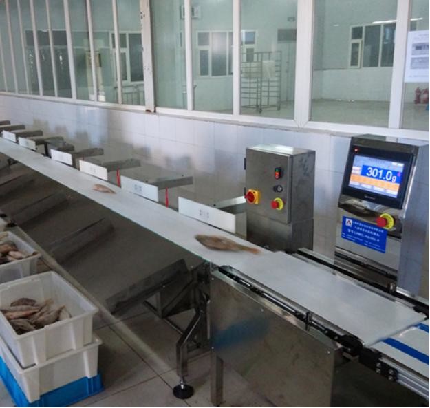 Automatic Check Weight Machine line INCW-DJ220 500g 0.5g Checkweigher 120pcs/Min AC220V 50Hz