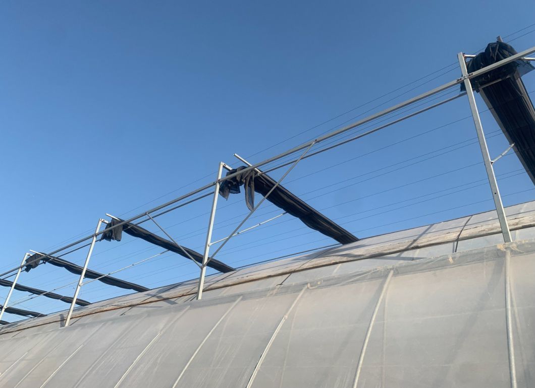 Hydroponics Stromal Humidity Control Multi-Span Seedling Glass Greenhouse
