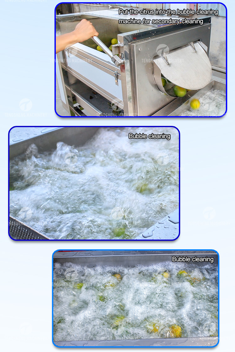 Air Brush Cleansing Citrus Processing Line , Anti Abrasion Sullage Removal Potato Processing Line