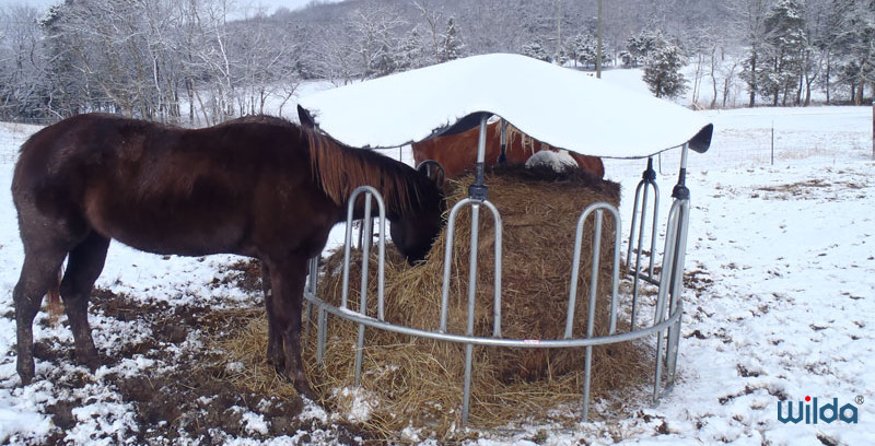 Galvanized Steel Fence Cow Ring Hot Galvanized Livestock Fencing Squeeze Chute Hot Dipped