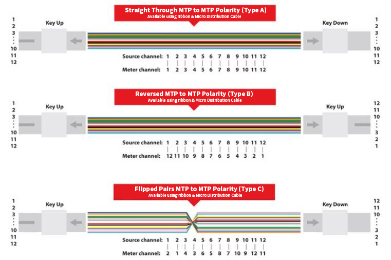 12 Fibers MTP Female To MTP Female OM3 3.0mm LSZH MTP Patch Cord Custom Meters