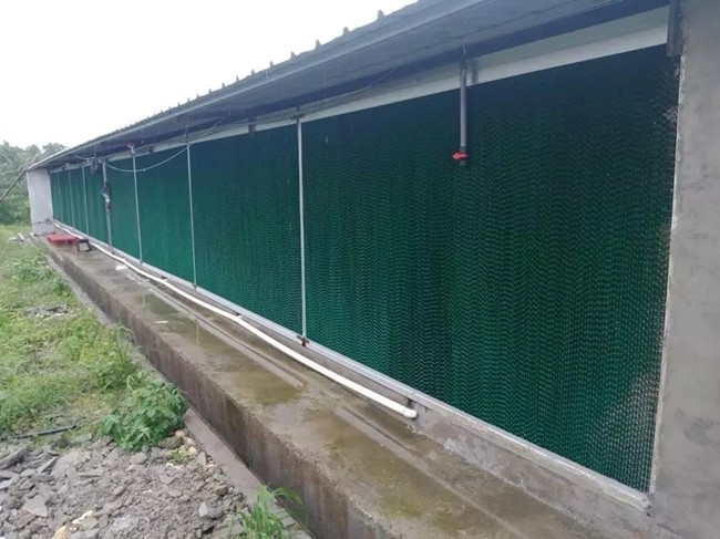 Automatic Chicken House Broiler Poultry Farm Equipment