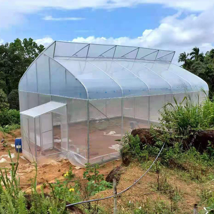 1.5 Meter Arch Rod Distance Tunnel Greenhouse Easy And Hassle-free Installation For Macro Tunnel