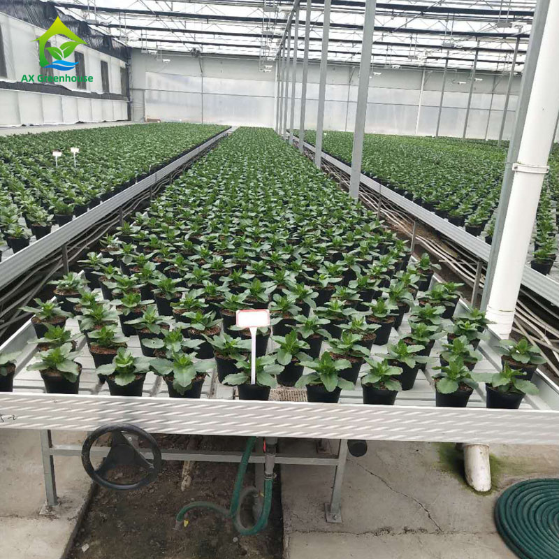 ABS Panel Hydroponic Seedling Greenhouse Rolling Benches 1.22m/4ft Width