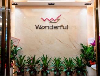 WONDERFUL SEMICONDUCTOR（HONG KONG）CO.，LIMITED