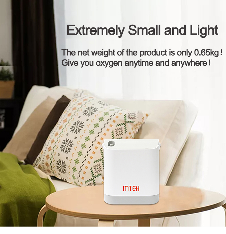 Portable Mini Oxygen Concentrator Machine Spare Parts with Air Ionizer