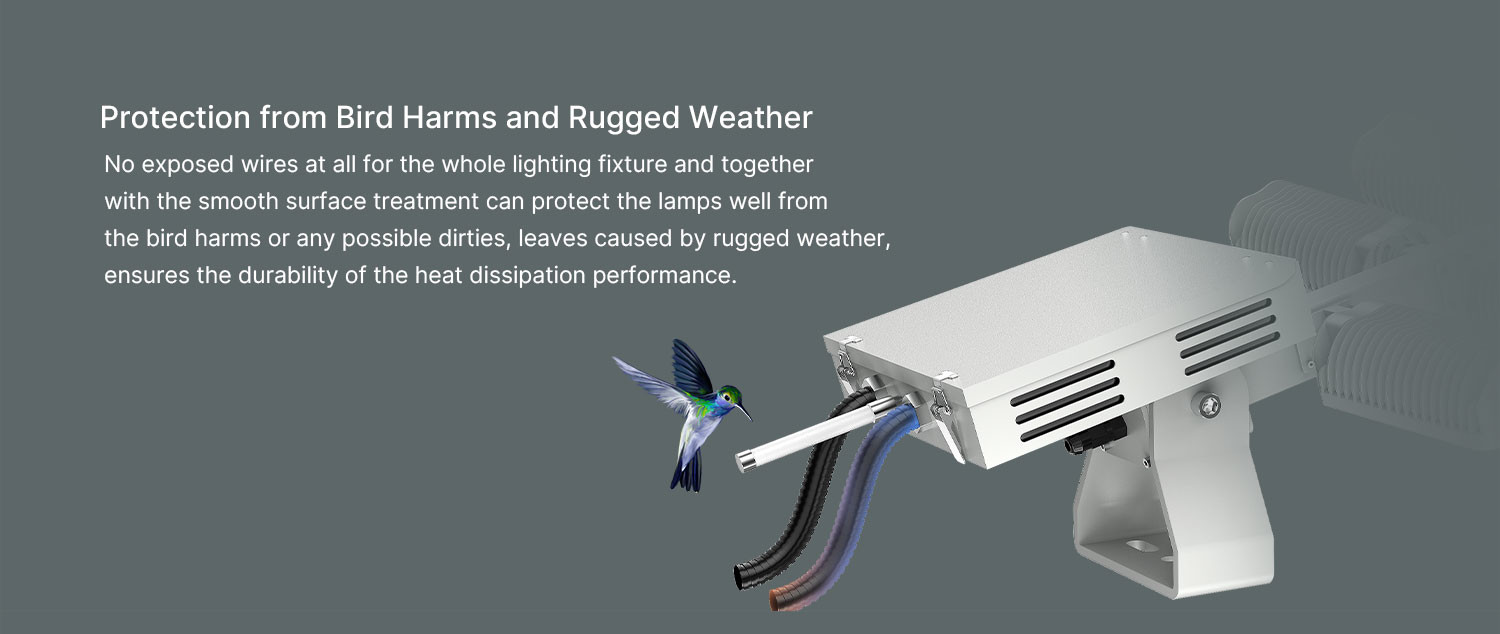 IK09 Lumen Energy Saving Aluminum LED Flood Lamp with IP66 and Meanwell Driver