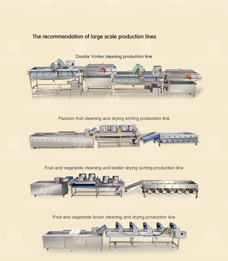 Customized Vegetable Processing Machine Fruit Sorting Table
