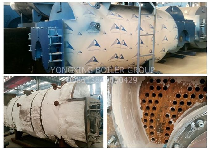 Customized Heat Transfer Oil Fired Hot Water Boiler For Greenhouse 1.25MPa