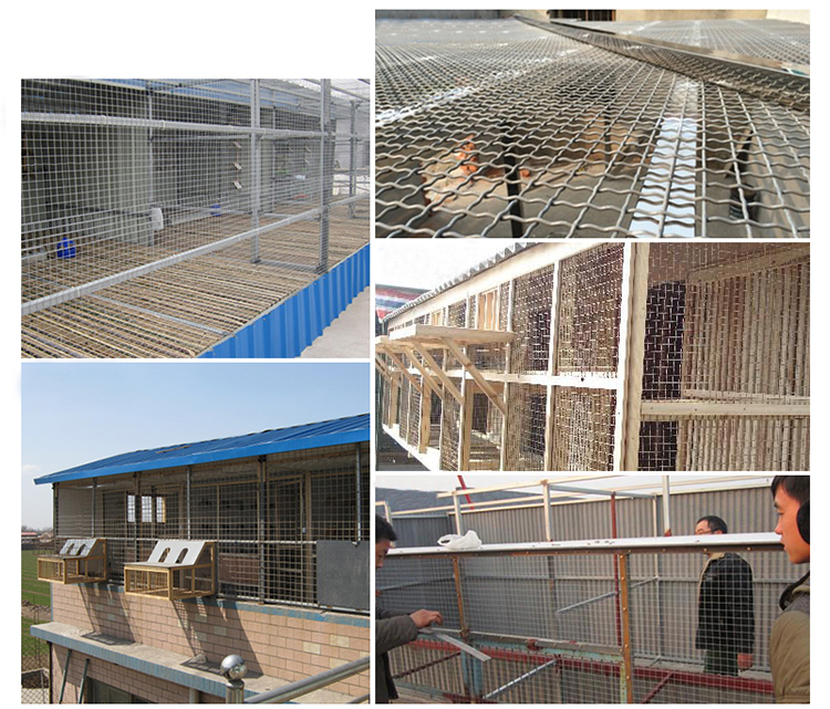 Wholesale hot-dipped galvanized anping stainless steel crimped wire mesh