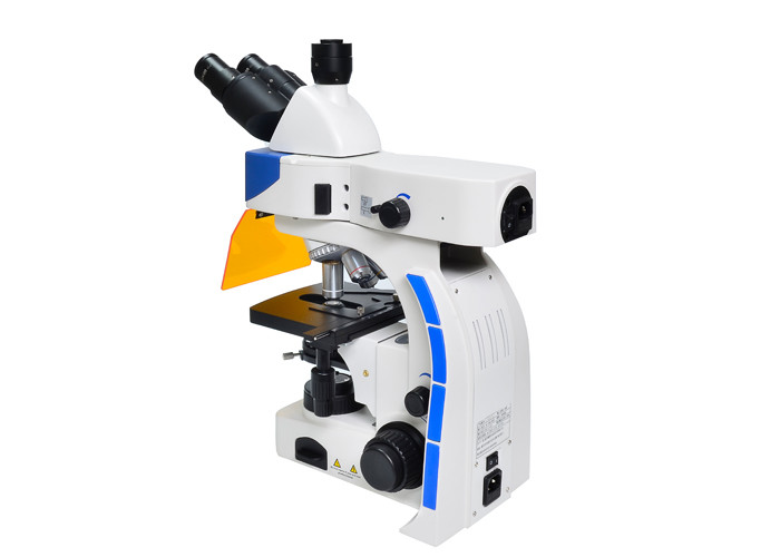 LED Trinocular Upright Fluorescence Microscope with B & G Fluorescence Filter