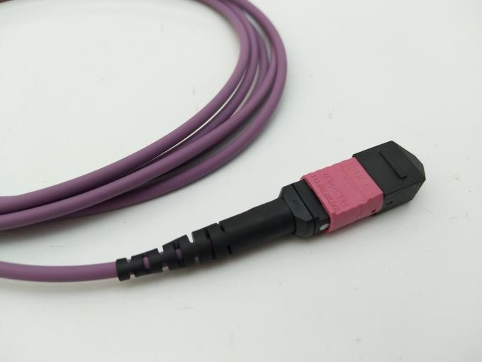 MPO MPT Multi Mode Fiber Optic Patch Cord 12 Core